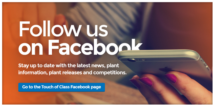 Home Banner - Facebook 2016