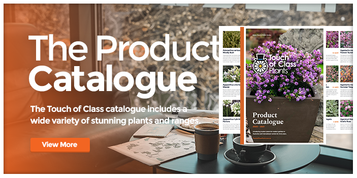 product_cat_banner_2019