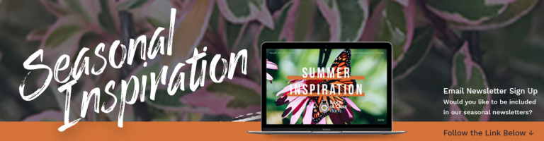 Banner - Newsletter_summer_19